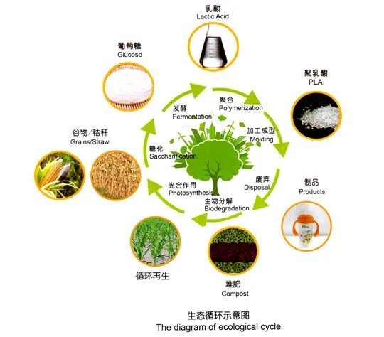 可降解塑料袋為什么都是PBAT＋PLA？(圖4)